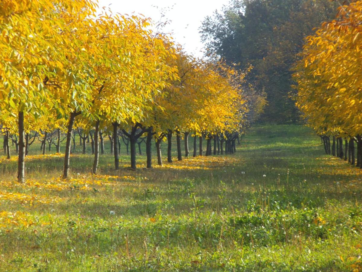 Alloggio Cantalupo Formigine Buitenkant foto